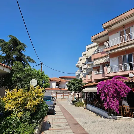 Qute * Ханиоти